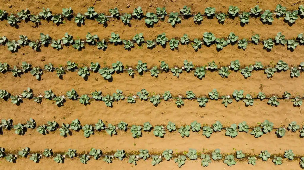 重庆企业洗洁精与洗衣液配方技术升级趋势分析