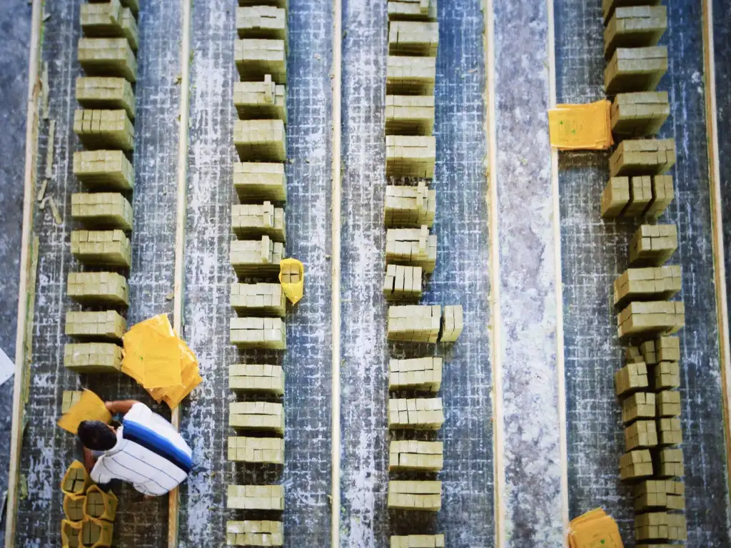 2025年日化行业新规对洗洁精与洗衣液生产标准的影响解析正文配图 1
