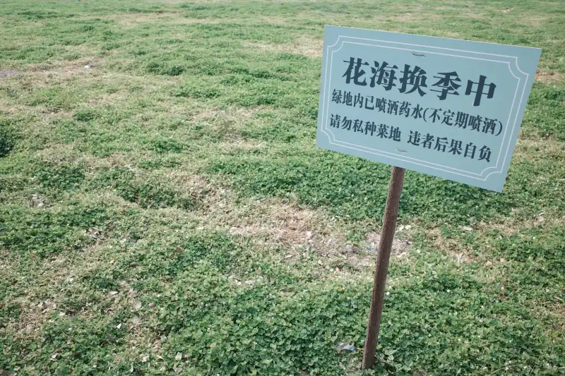 重庆家庭与企业消毒液选型指南：有效成分与使用场景解析
