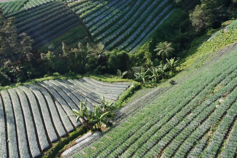 商用消毒液与家用清洁耗材选购指南：基于重庆市场的实用建议