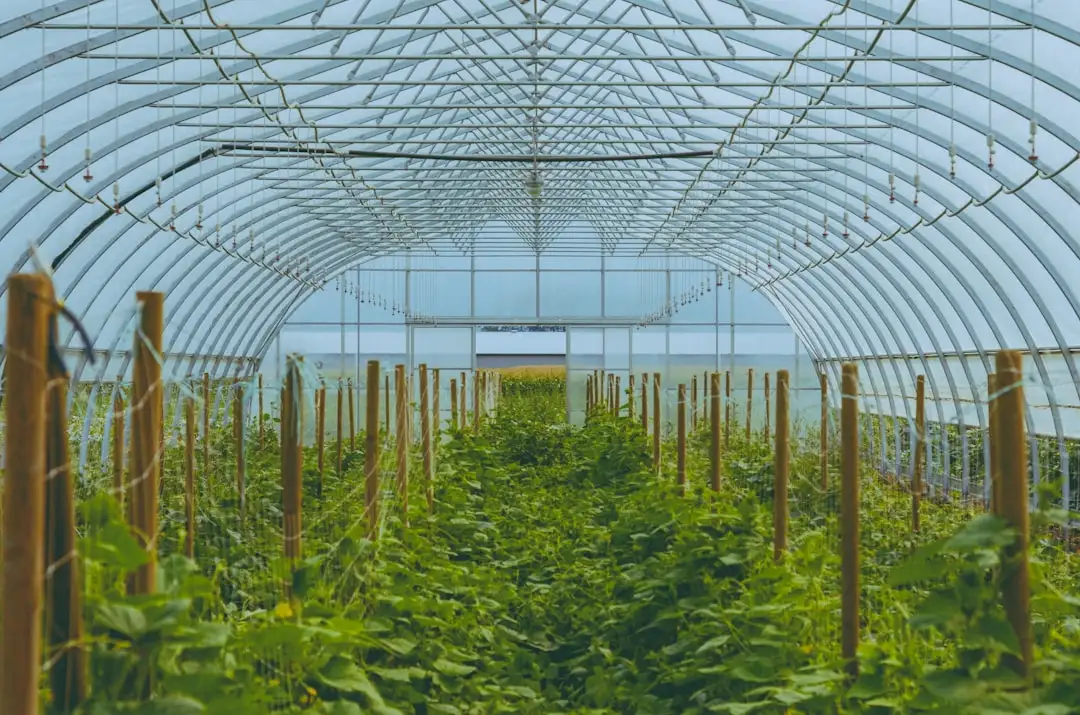 洗洁精与洗衣液配方技术解析：表面活性剂对清洁效果的影响