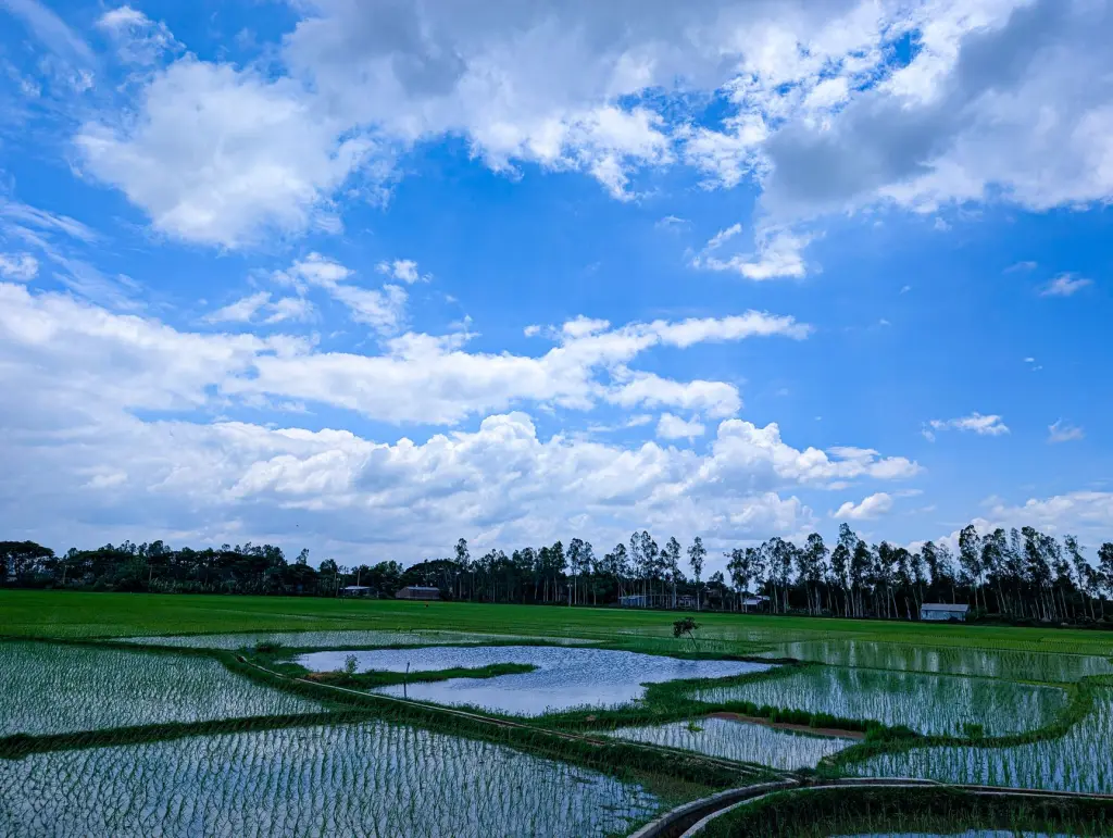 重庆家庭及企业消毒液选购指南:从成分到使用场景全解析