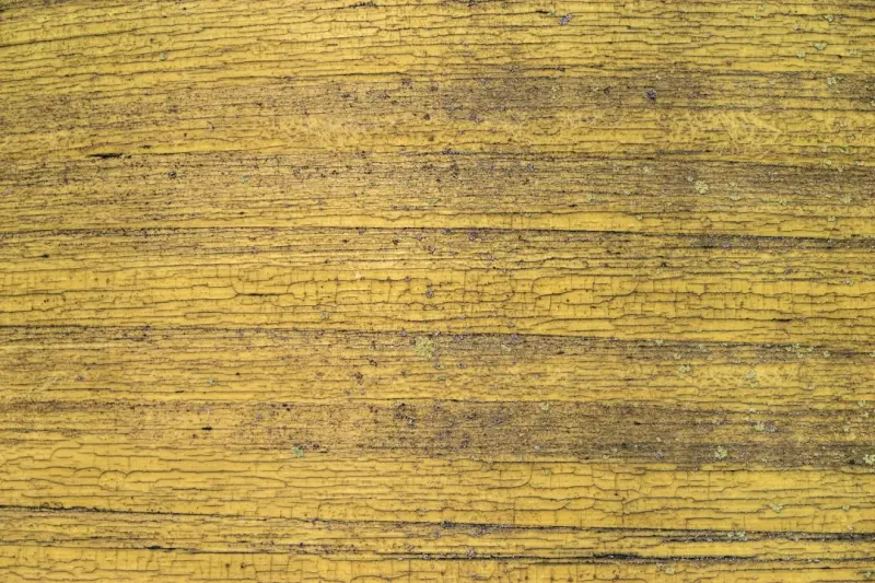重庆家庭及企业消毒液选购指南：成分分析与场景适配